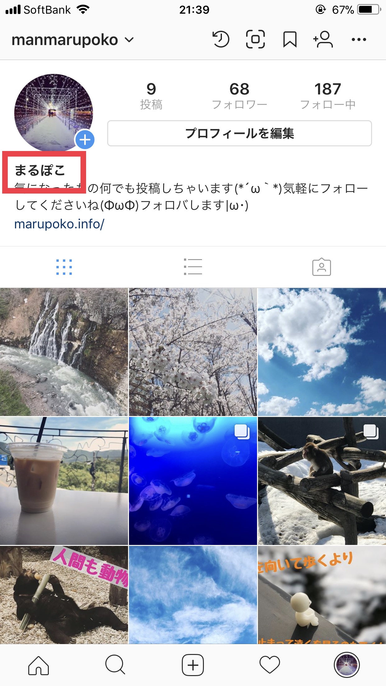 【初心者向け】インスタグラムのプロフィール編集方法は？ | まるぽこ